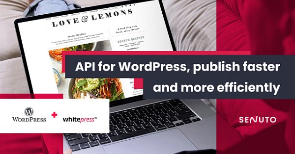 API for WordPress